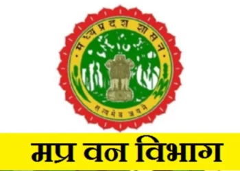 वन विभाग का एलान! बड़े अधिकारियों को नहीं किया जाएगा डिमोट, कर्मचारियों में राहत