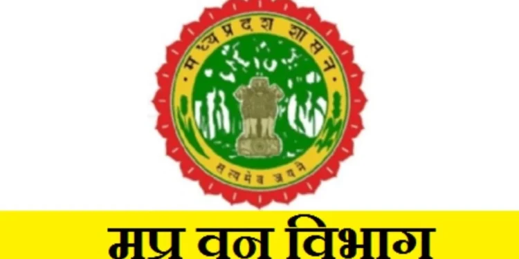 वन विभाग का एलान! बड़े अधिकारियों को नहीं किया जाएगा डिमोट, कर्मचारियों में राहत