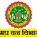 वन विभाग का एलान! बड़े अधिकारियों को नहीं किया जाएगा डिमोट, कर्मचारियों में राहत