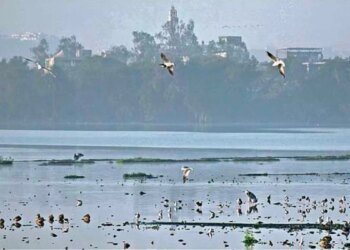 मध्य प्रदेश में शीतलहर को लेकर जारी हुआ अलर्ट, हार्ट और सांस की बीमारी वाले मरीजों को सबसे ज्यादा खतरा