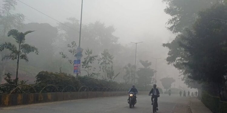 पहाड़ों पर बर्फबारी का मध्य प्रदेश पर असर, अभी और गिरेगा तापमान; शीतलहर और घने कोहरे का दौर जारी