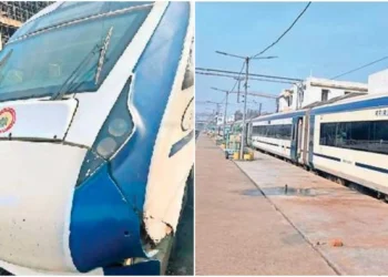 वंदे भारत की रफ्तार पर मवेशी लगा रहे ब्रेक, बार-बार टकराने की घटनाओं से रेलवे और यात्री परेशान