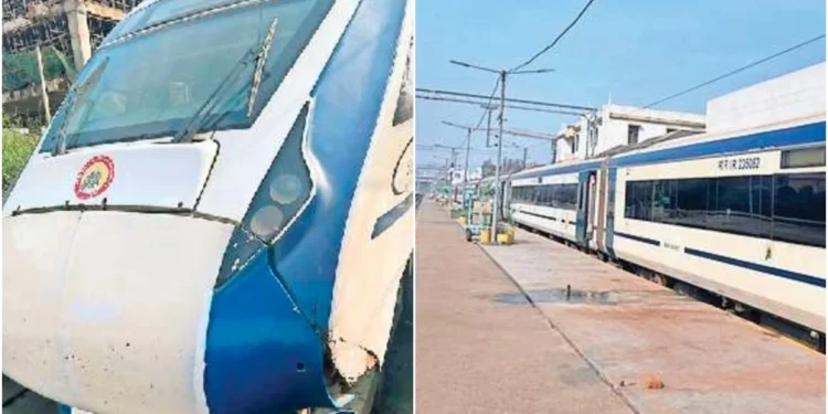 वंदे भारत की रफ्तार पर मवेशी लगा रहे ब्रेक, बार-बार टकराने की घटनाओं से रेलवे और यात्री परेशान