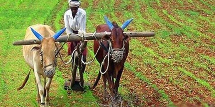 MP में डिफाल्टर किसानों के लिए एकमुश्त समझौता योजना लाएगी सरकार, मूलधन चुकाने पर ब्याज की मिलेगी माफी