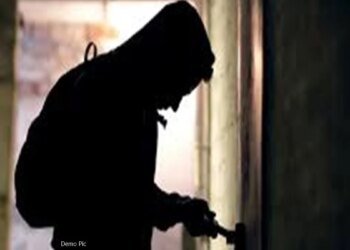भोपाल में चोरी की अनोखी वारदात.. कुत्तों भौंके नहीं इसलिए फेंका मीट, दीवार फांद एडवोकेट के घर घुसे और 18 लाख कैश संग जेवर ले उड़े