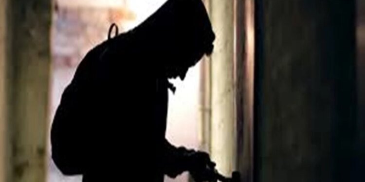 भोपाल में चोरी की अनोखी वारदात.. कुत्तों भौंके नहीं इसलिए फेंका मीट, दीवार फांद एडवोकेट के घर घुसे और 18 लाख कैश संग जेवर ले उड़े