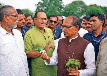 बीज के 10 प्रतिशत तक सैंपल मध्य प्रदेश में मिले अमानक, देश में औसत चार प्रतिशत से कम