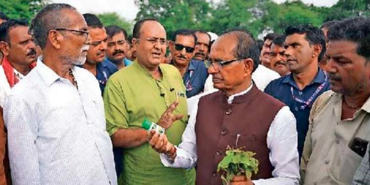 बीज के 10 प्रतिशत तक सैंपल मध्य प्रदेश में मिले अमानक, देश में औसत चार प्रतिशत से कम