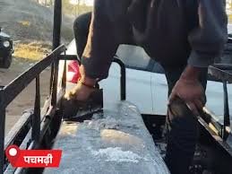 पचमढ़ी में सीट पर बर्फ जमी…नौगांव में पारा 1 डिग्री:बड़वानी में कोहरे में दूध टैंकर पलटा, एक की मौत