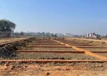 भोपाल में भूमाफिया बेखौफ काट रहे अवैध कॉलोनियां, बिना अनुमति बेच रहे प्लॉट, कलेक्टर से न्याय की गुहार