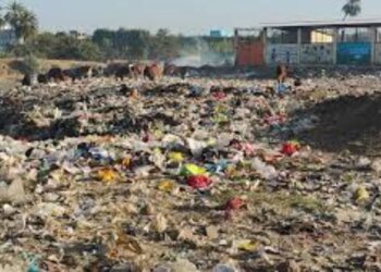 कचरा प्रबंधन में फेल नगर निगमों पर लगेगा 10 लाख प्रति माह जुर्माना, NGT ने भोपाल समेत चार शहरों से मांगी रिपोर्ट