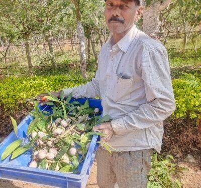 तसर पालन ने बदल दी जिंदगी – ग्राम सलोरा के किसान भरत राम केवट बने आत्मनिर्भर