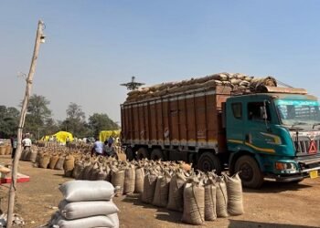 98,678.53 लाख की राशि से 4,16,363.36 मे. टन धान की खरीदी