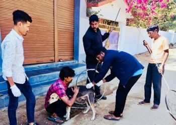 जन-सुरक्षा के लिए आवारा कुत्तों के टीकाकरण और नियंत्रण का व्यापक अभियान शुरू