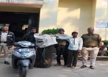 रायगढ़ में वन विभाग की फेंसिंग तार चोरी, तीन आरोपी गिरफ्तार