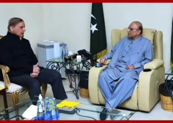 कश्मीर मुद्दा हल किए बिना दक्षिण एशिया में शांति नहीं, पाकिस्तानी पीएम ने उगला जहर, दुनिया से लगाई गुहार