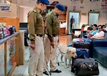 सीहोर में कुबेरेश्वर धाम मेले को लेकर भोपाल स्टेशन पर हाई अलर्ट, भीड़ को देखकर बढ़ाई सुरक्षा