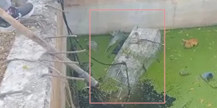 भोपाल में बंद पेटी के अंदर पानी के टैंक में मिली महिला की लाश, हाथ पर मिला दीप का टैटू और 26 मई 1992 की तारीख