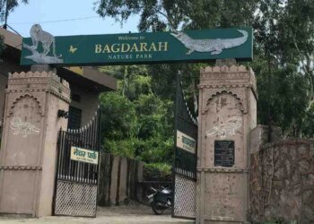 सिंगरौली का बगदरा अभयारण्य होगा डिनोटिफाई, अब पर्यटन पर जोर देगी MP सरकार