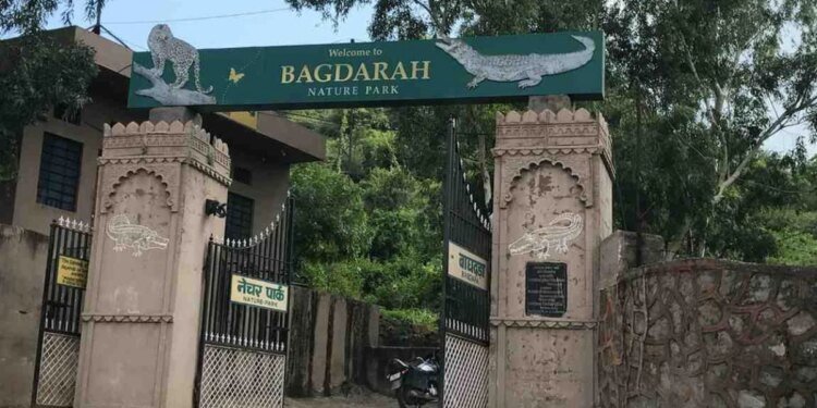 सिंगरौली का बगदरा अभयारण्य होगा डिनोटिफाई, अब पर्यटन पर जोर देगी MP सरकार