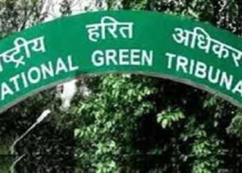 खेतों में सीवेज का पानी बहाने पर NGT सख्त, कैंसर और अन्य बीमारियों का खतरा, मामला भोपाल बेंच को भेजा