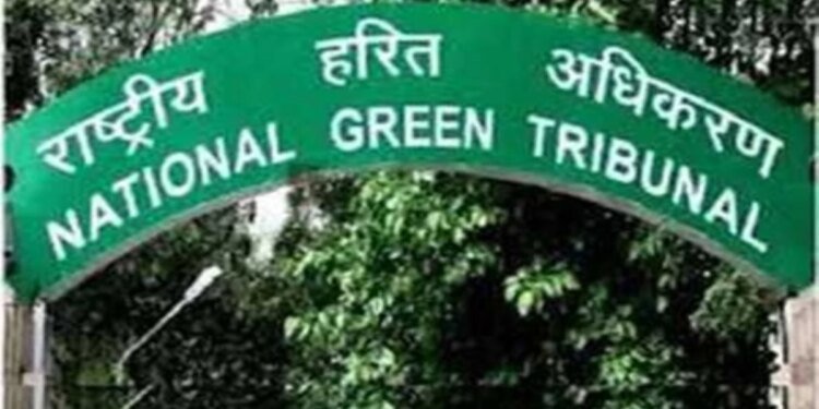 खेतों में सीवेज का पानी बहाने पर NGT सख्त, कैंसर और अन्य बीमारियों का खतरा, मामला भोपाल बेंच को भेजा