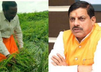 MP के 25 जिलों में बारिश से फसलें बर्बाद, CM मोहन यादव ने सर्वे कराकर प्रभावित किसानों को मुआवजा देने के दिए निर्देश