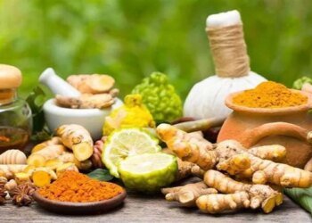 मध्य प्रदेश को मिल सकता है अखिल भारतीय आयुर्वेद संस्थान