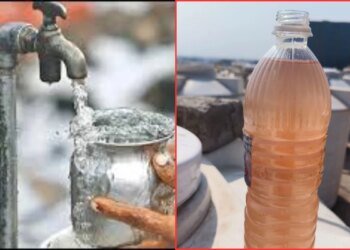 दूषित पानी पीने को मजबूर भोपाल के अवंतिका होम्स के रहवासी, बीमारियों का बढ़ा खतरा; प्रशासन से लगा रहे गुहार