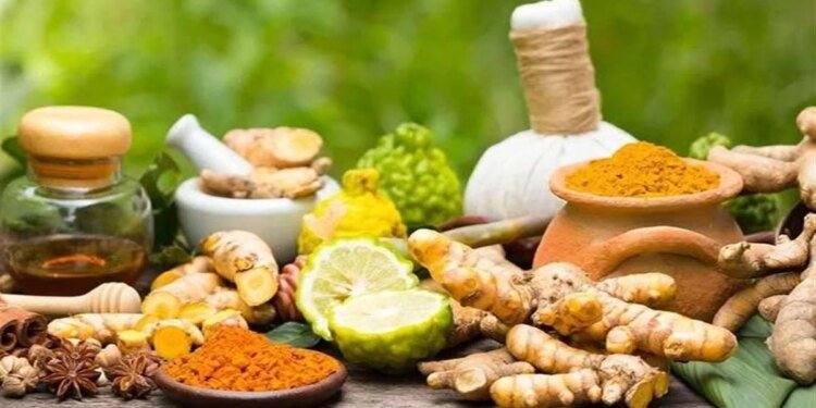 मध्य प्रदेश को मिल सकता है अखिल भारतीय आयुर्वेद संस्थान