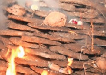 एमपी में ‘स्वच्छ और स्वस्थ होली’ : होलिका दहन में अब लकड़ी की जगह गोकाष्ठ का उपयोग