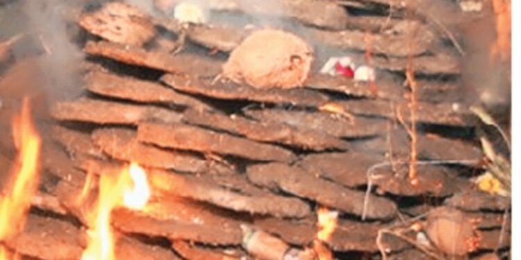 एमपी में ‘स्वच्छ और स्वस्थ होली’ : होलिका दहन में अब लकड़ी की जगह गोकाष्ठ का उपयोग