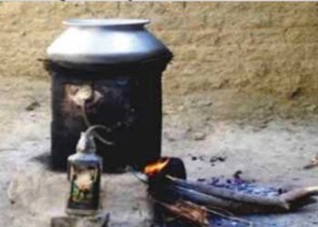 MP में महुआ से बनी मदिरा को अन्य राज्यों में ड्यूटी फ्री कराने की होगी कोशिश, आबकारी नीति 2026 में प्राविधान