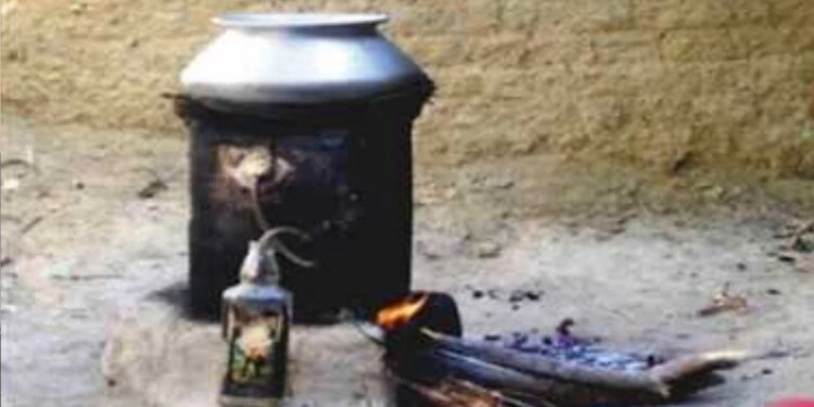 MP में महुआ से बनी मदिरा को अन्य राज्यों में ड्यूटी फ्री कराने की होगी कोशिश, आबकारी नीति 2026 में प्राविधान