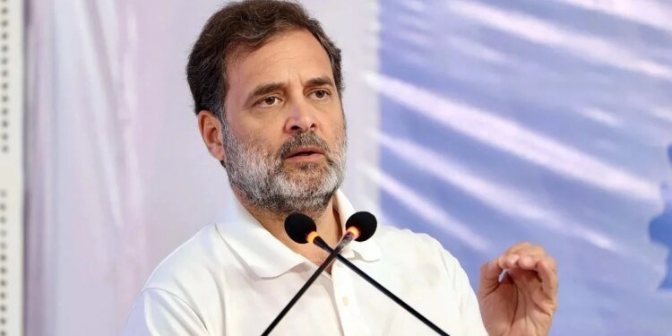 राहुल गांधी के दौरे से मध्य प्रदेश में कांग्रेस को मिली संजीवनी, भीड़ देख उत्साहित हो गया संगठन