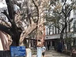 भोपाल में बाथरूम में मिला MBBS छात्रा का शव:पास ही पड़ी थी एसिड बॉटल