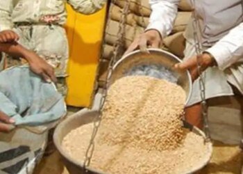 MP के 1.32 करोड़ लोगों को बिना दिक्कत मिलेगा राशन:5 दिन से सर्वर डाउन रहा