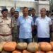 कबीरधाम पुलिस ने जब्त किया 5 करोड़ का गांजा