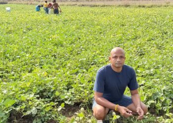 महासमुंद के किसान 65 एकड़ में कर रहे आर्गेनिक खेती:पुरखों से मिली परंपरा