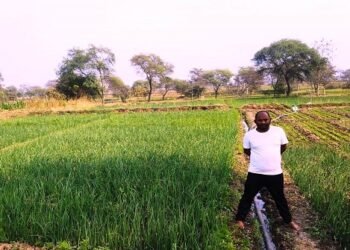 मिशन जल रक्षा का दिखाई दे रहा असर