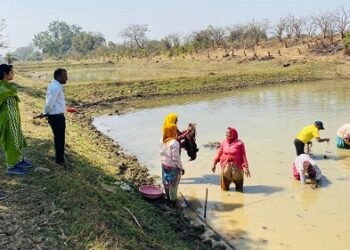 मखाना की खेती के विस्तार एवं विकास हेतु रोपण कार्य प्रारंभ