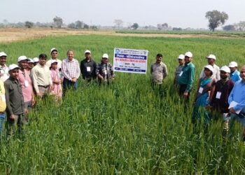 झारखंड के किसानों ने छत्तीसगढ़ में सीखीं उन्नत कृषि तकनीकें