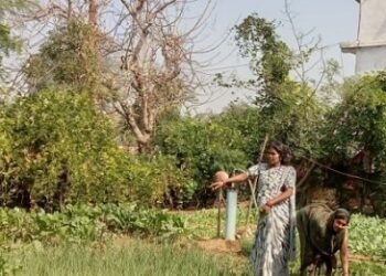 चीचा ग्राम पंचायत की दुर्गा पटेल बनीं लखपति दीदी