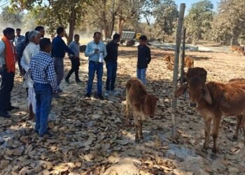 जिला स्तरीय पशु मेला आयोजित