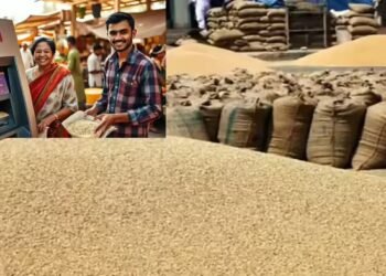 बिहार बनेगा चौथा राज्य, जहां ‘ATM’ से मिलेगा गेहूं और चावल, जानिए पहले नंबर पर कौन सा राज्य