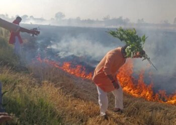 भोपाल के कुठार में आग का तांडव, 15 एकड़ गेहूं की फसल राख, 1000 एकड़ को बचाने के लिए जान पर खेल गए ग्रामीण