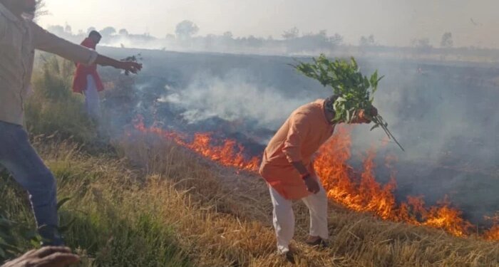 भोपाल के कुठार में आग का तांडव, 15 एकड़ गेहूं की फसल राख, 1000 एकड़ को बचाने के लिए जान पर खेल गए ग्रामीण