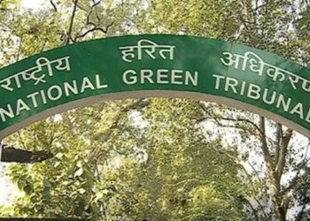 एनजीटी ने पूछा सिंगरौली-सीधी में एलिफेंट कॉरिडोर अब तक क्यों नहीं हुआ अधिसूचित