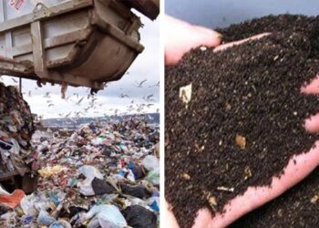 ‘कचरे से कंचन’ बनाने की राह पर भोपाल के बड़े आवासीय परिसर, एक दर्जन कॉलोनियां कचरे से बना रहीं खाद