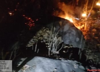 जशपुर वनमंडल में दो स्थानों पर लगी आग पर रातों-रात पाया गया नियंत्रण